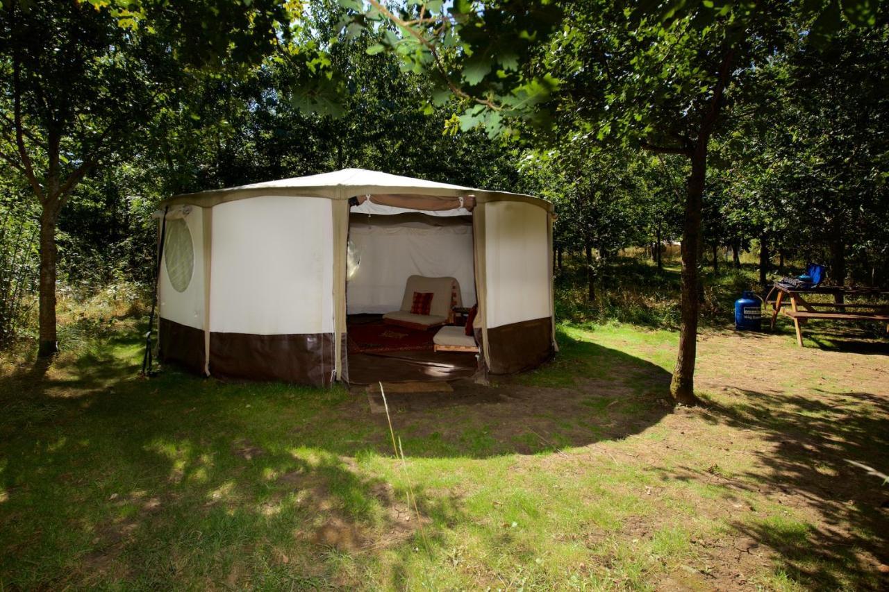 Dgg Woodland Escape Hotel South Barrow Exterior photo
