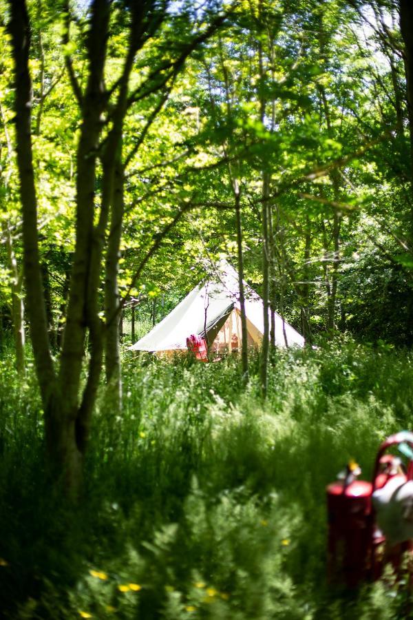 Dgg Woodland Escape Hotel South Barrow Exterior photo