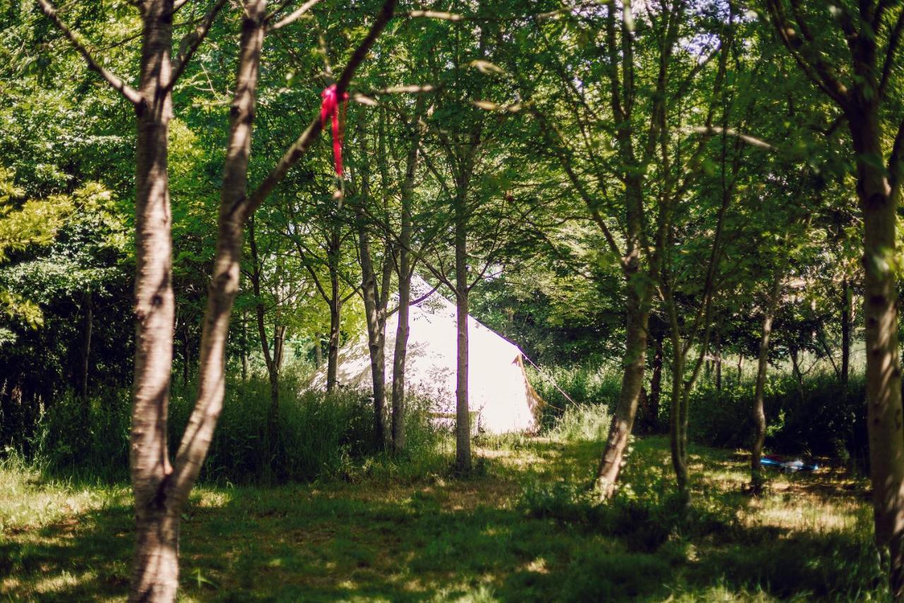 Dgg Woodland Escape Hotel South Barrow Exterior photo