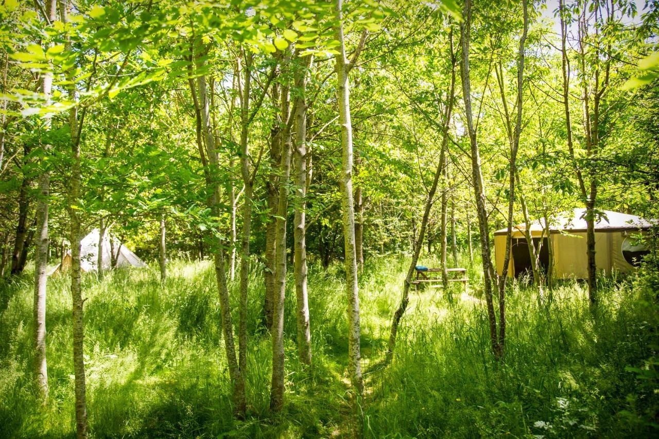 Dgg Woodland Escape Hotel South Barrow Exterior photo